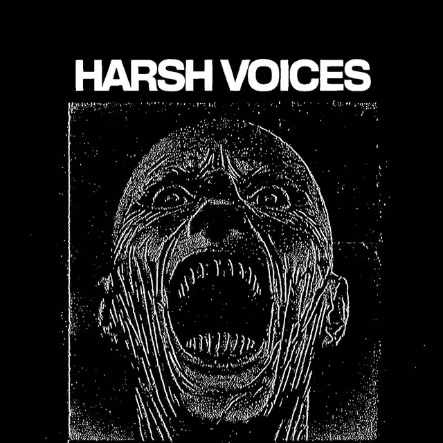 Harsh Voices Berlin Group Profile Picture